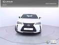 Lexus UX 300h 2.0 Plus Fehér - thumbnail 6