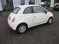 Fiat 500 500 1.2 Pop Klima Weiß - thumbnail 5