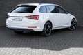 Skoda Superb Combi 1.4 TSI iV Sportline Business Blanc - thumbnail 13
