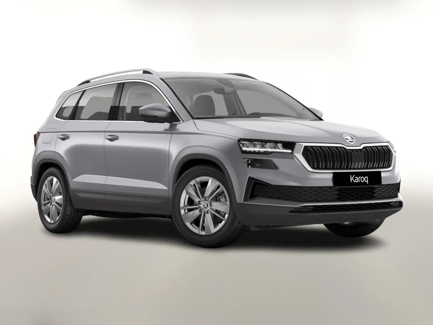 Skoda Karoq Selection TSI DSG Selec LED Nav Kam SHZ SunS Ke... Silber - 1