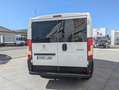 Peugeot Boxer Combi 5/9 Pl. 330 L1H1 BlueHDi 96KW(130) Wit - thumbnail 8