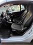smart forTwo Cabrio 1.0 Passion 71cv twinamic Blanc - thumbnail 10