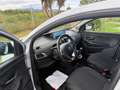 Lancia Ypsilon Ypsilon 1.2 Elefantino Blu ecochic Gpl 69cv my19 Gris - thumbnail 19