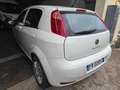 Fiat Punto 1.3 MJT 75CV 5 porte Van Easy 4 posti E5+ Bianco - thumbnail 4