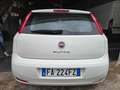 Fiat Punto 1.3 MJT 75CV 5 porte Van Easy 4 posti E5+ Bianco - thumbnail 2