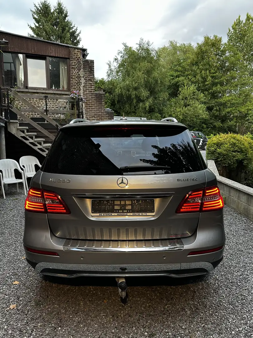 Mercedes-Benz ML 250 BlueTEC 4MATIC 7G-TRONIC - 2