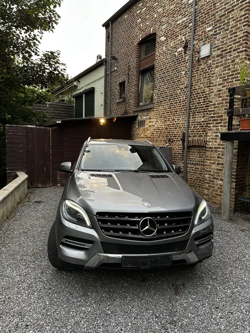 Mercedes-Benz ML 250 BlueTEC 4MATIC 7G-TRONIC - 1