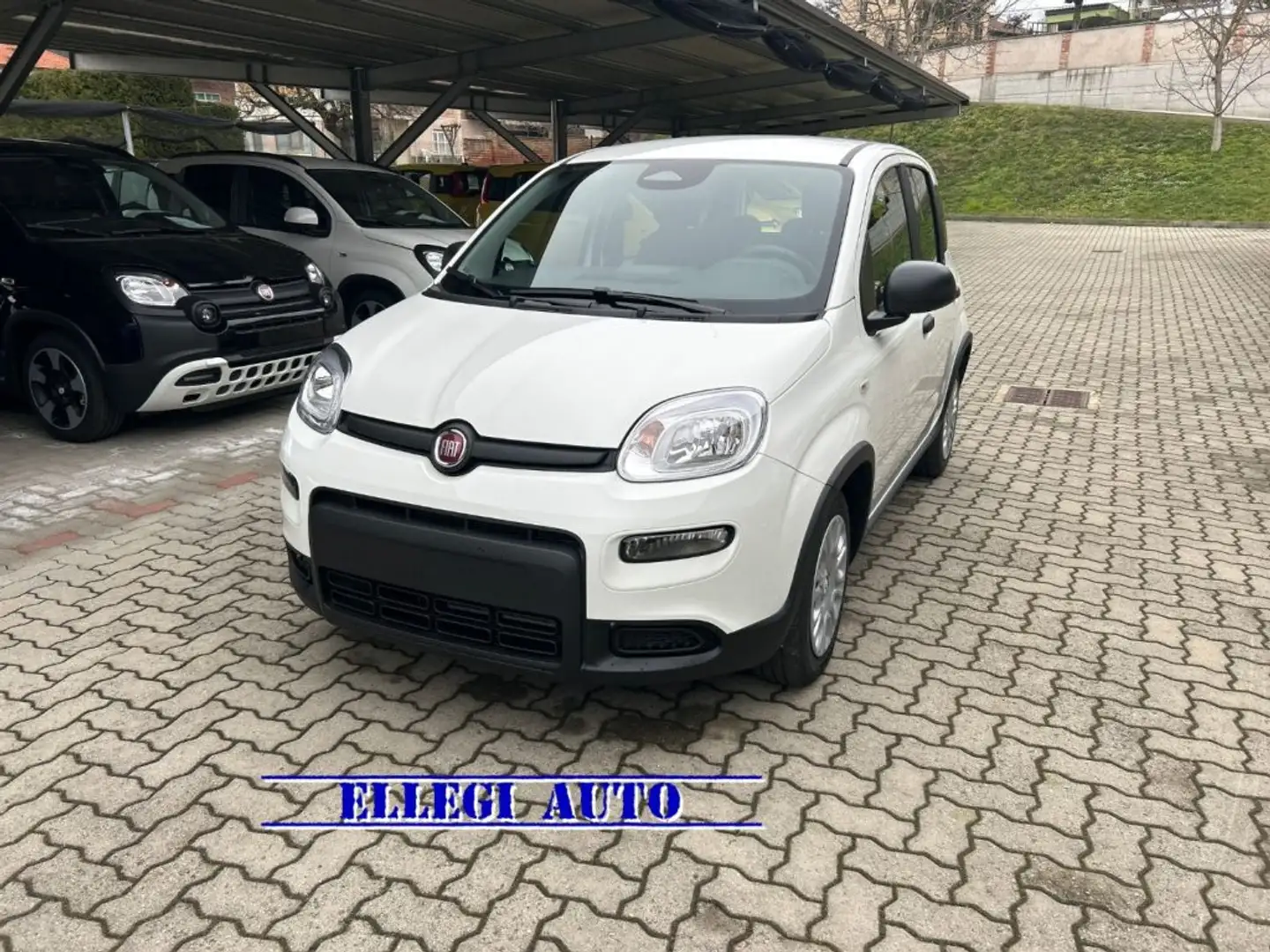 Fiat Panda PROMO FIN.1.0 HYBRID +PACK CITY KM 0 Bianco - 1