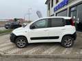 Fiat Panda VAN 4X4 Blanco - thumbnail 3