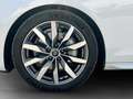 Audi A4 Avant 40 2.0 TDI quattro S-Line Weiß - thumbnail 8