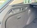 Volkswagen Passat Variant Business 1.5 eTSI DSG AHK Grün - thumbnail 24
