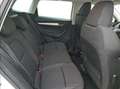Skoda Karoq 1.5 TSI AMBITION 150 5P Blanco - thumbnail 8