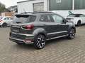 Ford EcoSport ST-Line, Winter-Paket, Kamera, Klima, PDC Grau - thumbnail 5