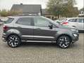Ford EcoSport ST-Line, Winter-Paket, Kamera, Klima, PDC Grau - thumbnail 6