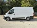 Fiat Ducato 33 MH2 2.2 Mjt3 140CV E6D-fin White - thumbnail 2