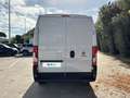 Fiat Ducato 33 MH2 2.2 Mjt3 140CV E6D-fin White - thumbnail 4