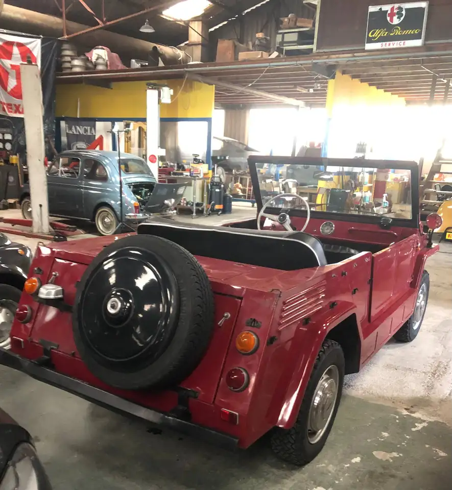 Fiat 600 SAVIO JUNGLA, foto 2