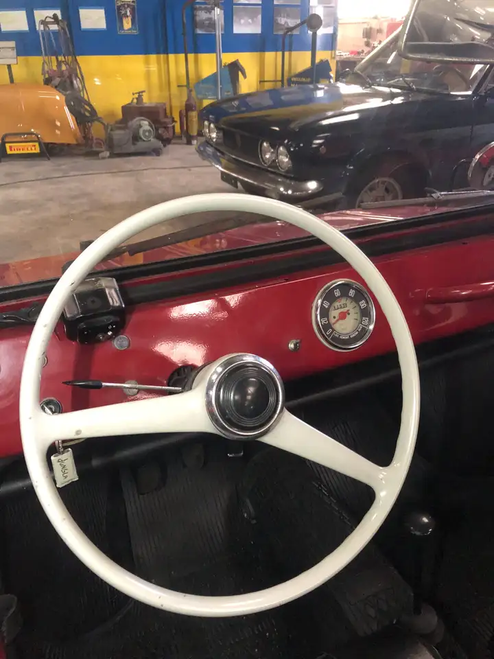 Fiat 600 SAVIO JUNGLA, foto 5