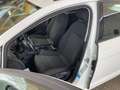 Volkswagen Golf Variant 1,6 TDI SCR**NAVI*TEMPOMAT*PDC** Weiß - thumbnail 7