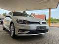 Volkswagen Golf Variant 1,6 TDI SCR**NAVI*TEMPOMAT*PDC** Weiß - thumbnail 5