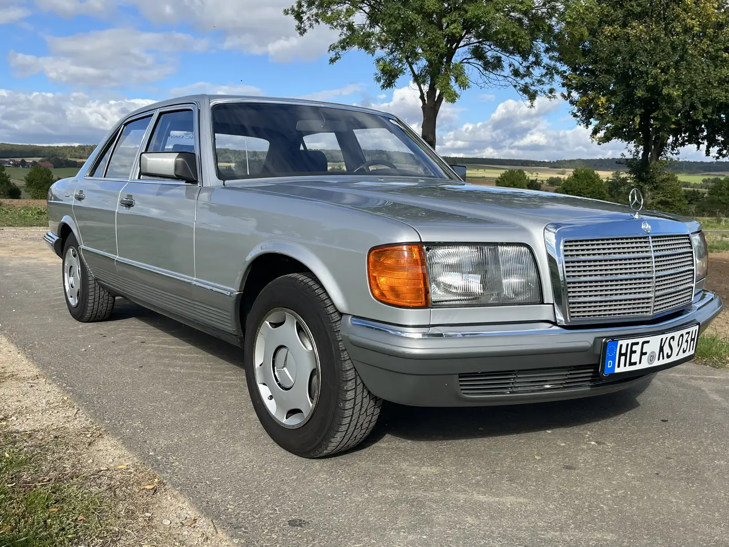 Mercedes-Benz 280 280SE Argintiu - 1
