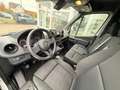 Mercedes-Benz Sprinter III Kasten Weiß - thumbnail 4