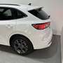 Ford Kuga 1.5 EcoBoost ST-Line X FWD 150 Blanco - thumbnail 8