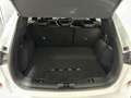 Ford Kuga 1.5 EcoBoost ST-Line X FWD 150 Blanco - thumbnail 12