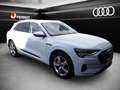 Audi e-tron advanced 55 qu. HUD Matrix AHK NSicht Weiß - thumbnail 9