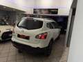 Nissan Qashqai Qashqai 2 2.0 dCi DPF n-tec 4WD Bianco - thumbnail 14
