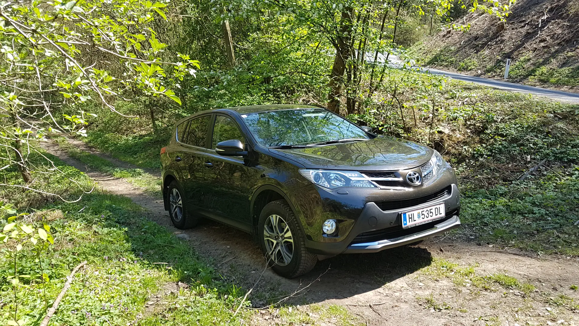 Toyota RAV 4 RAV4 2,0 D-4D Elegance 4WD Elegance Braun - 1