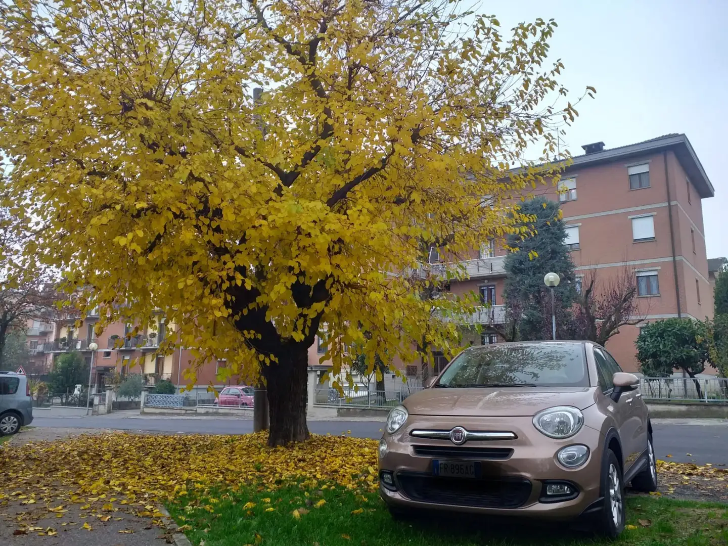 Fiat 500X 1.6 mjt Pop Star 4x2 120cv my17 Bronzo - 2