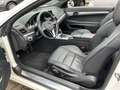 Mercedes-Benz E 250 Cabriolet  BE ELEGANCE 7G-TRONIC - thumbnail 9