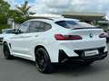 BMW X4 M ACC HUD FLA LHZ  H/K PANO AKUSTIK 4xSHZ Blanco - thumbnail 5