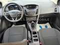 Ford Focus Lim. Ambiente *SERVICE-NEU* Zwart - thumbnail 8
