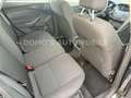 Ford Focus Lim. Ambiente *SERVICE-NEU* Noir - thumbnail 10