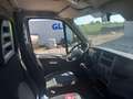 Iveco DAILY  35C 10 2.3 HPI Verde - thumbnail 11