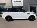 Land Rover Range Rover Sport 3.0 TDV6 258 HSE Dynamic Mark IV Blanc - thumbnail 3