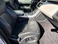 Land Rover Range Rover Sport 3.0 TDV6 258 HSE Dynamic Mark IV Blanc - thumbnail 6