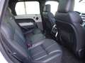 Land Rover Range Rover Sport 3.0 TDV6 258 HSE Dynamic Mark IV Blanc - thumbnail 8