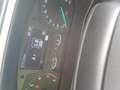 Ford Focus 1.0 Ecoboost 92kW Trend+ Jaune - thumbnail 8