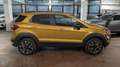 Ford EcoSport 1.0 EcoBoost 125 CV Start&Stop Active Arancione - thumbnail 3