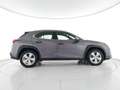 Lexus UX 250h 2.0 Business 2wd cvt CAMERA+ACC+ALCANTARA Grigio - thumbnail 7