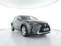 Lexus UX 250h 2.0 Business 2wd cvt CAMERA+ACC+ALCANTARA Grigio - thumbnail 1