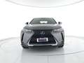 Lexus UX 250h 2.0 Business 2wd cvt CAMERA+ACC+ALCANTARA Grigio - thumbnail 5