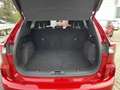Ford Kuga ST-LINE X Automatik 4x4, GARANTIE+LED+B&O+DAB+NAVI Rood - thumbnail 6