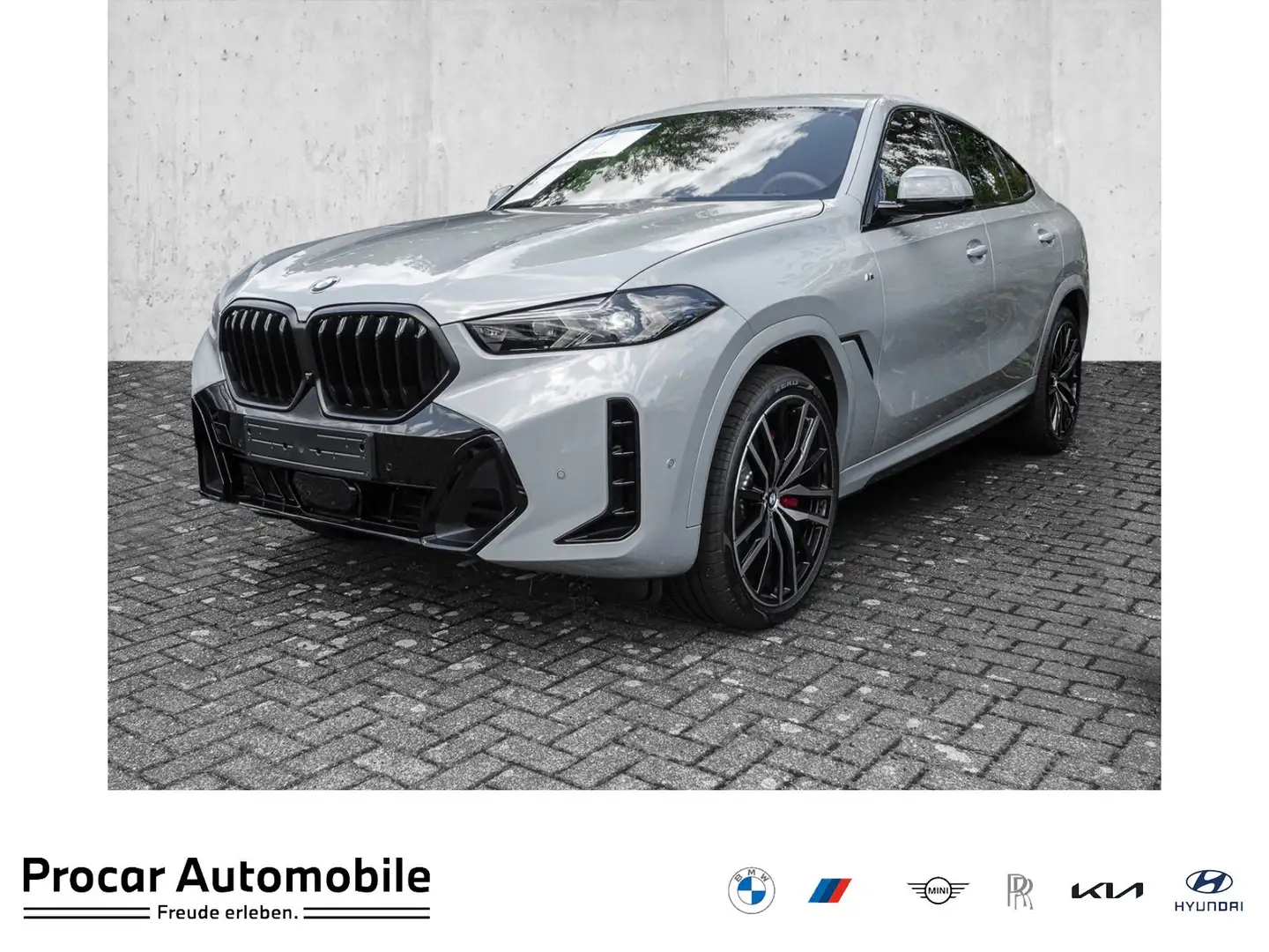 BMW X6 xDrive40d M Sport Pro Inno.Pak. ExclusivPak. Pano Grau - 1