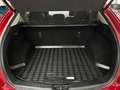 Mazda CX-5 Edition 100 2WD mit Navi, Sitzhzng, Kamera Rouge - thumbnail 13