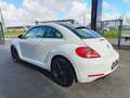 Volkswagen Beetle Beetle 1.2 TSI Allstar BMT Blanco - thumbnail 4