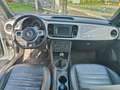 Volkswagen Beetle Beetle 1.2 TSI Allstar BMT Blanco - thumbnail 8